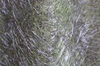 France Lynch fibreglass roof work